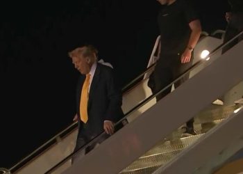 Trump’s bodily returns are in and medical doctors weighing in on president’s well being