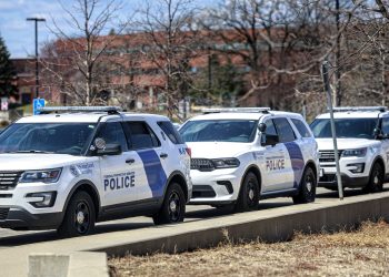 Ice is altering the conclusion of authorized standing for worldwide research about US