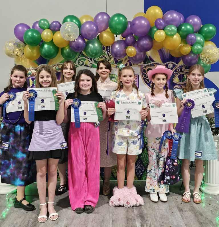 2025 Livingston Parish Four-H Vogue Revue