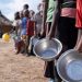South Africa requires worldwide cooperation to handle meals insecurity