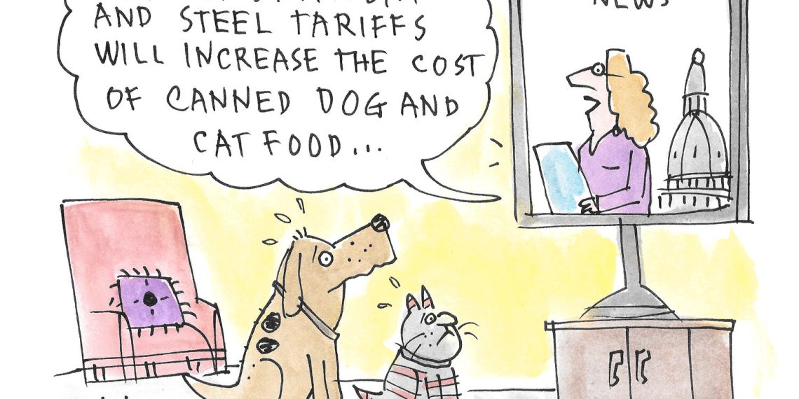 In 'Toon: Pet meals – Bay to Bay Information