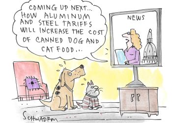 In 'Toon: Pet meals – Bay to Bay Information