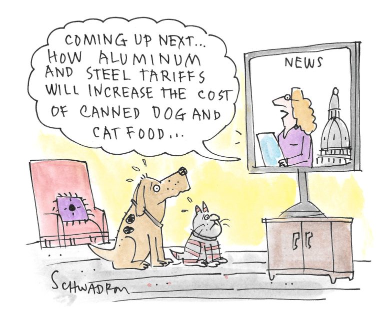 In 'Toon: Pet meals – Bay to Bay Information