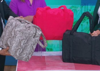 Video Should-have journey gear for spring and summer season – ABC Information