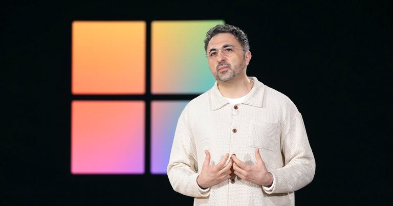 Professional-Palestinian protestant interrupts Microsoft CEO inside the occasion