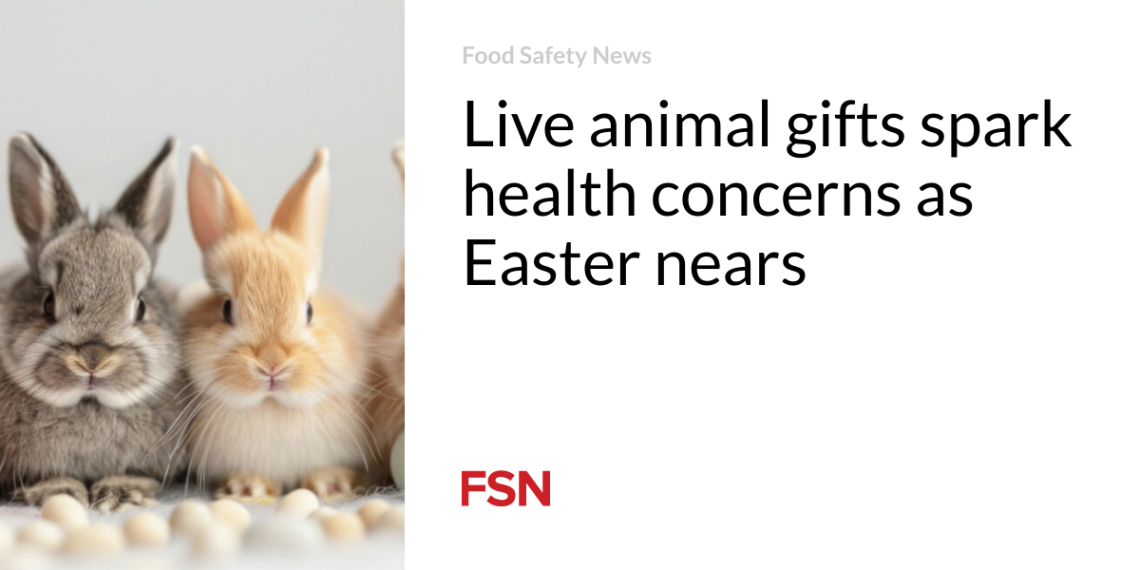 Dwell animal presents spark well being considerations as Easter nears