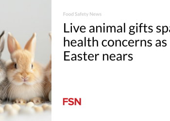 Dwell animal presents spark well being considerations as Easter nears