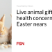 Dwell animal presents spark well being considerations as Easter nears