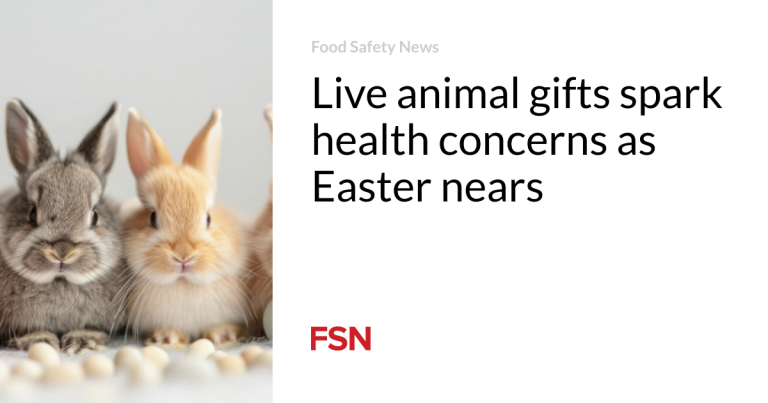 Dwell animal presents spark well being considerations as Easter nears