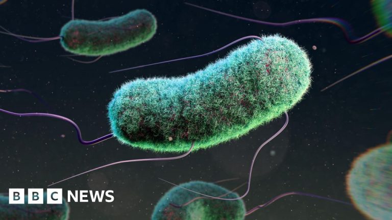 Three million youngster deaths linked to drug resistance