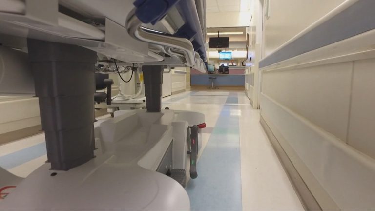 North Carolina ranks 41st in kids’s well being care examine