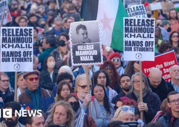 Why has Trump revoked a whole lot of worldwide scholar visas?