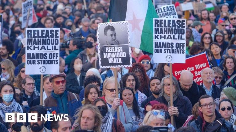 Why has Trump revoked a whole lot of worldwide scholar visas?