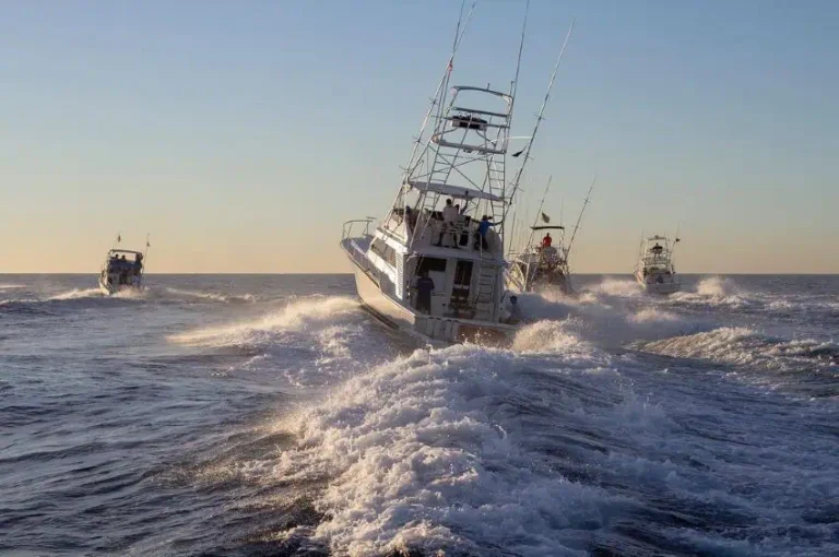 April tourism information from Los Cabo and la Paz