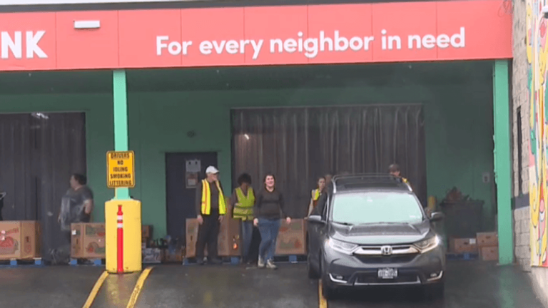 Albany meals drive collects hundreds of meals, provides for these in want