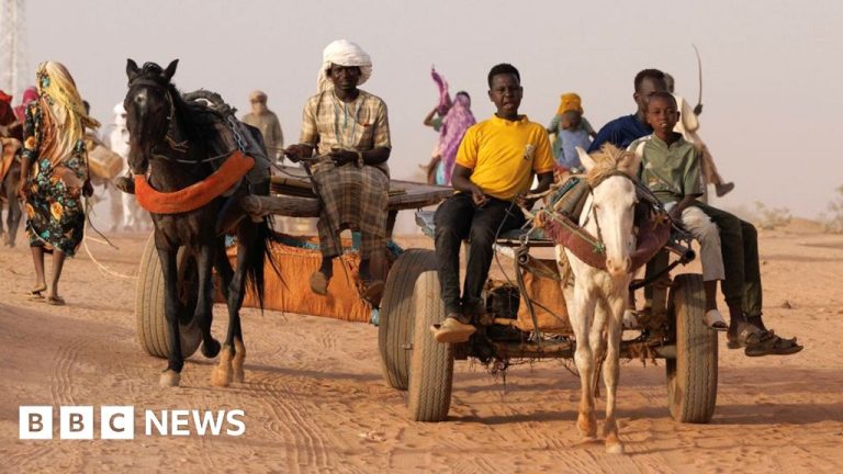 The Sudan accuses the VAE in ICJ for “complicity in genocide”