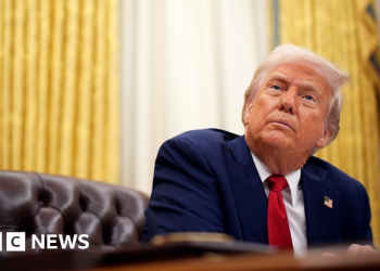 Trump’s overseas insurance policies: What does America suppose?