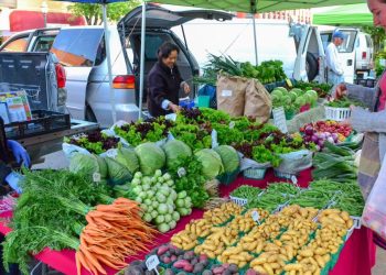 Arkansas legislators push produce entry in nation’s most meals insecure state | Information