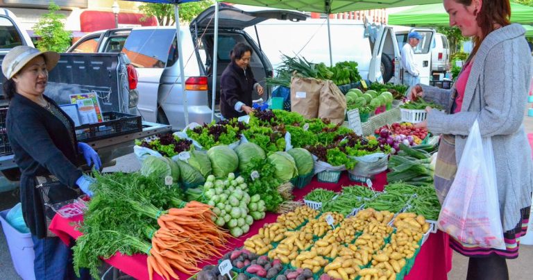 Arkansas legislators push produce entry in nation’s most meals insecure state | Information