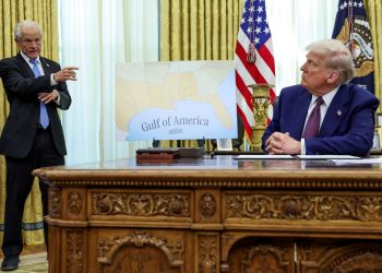 Who’s Peter Navarro, the “Tsar of Tariffs” impressed by Donald Trump and that Elon Musk referred to as it “jerk”?