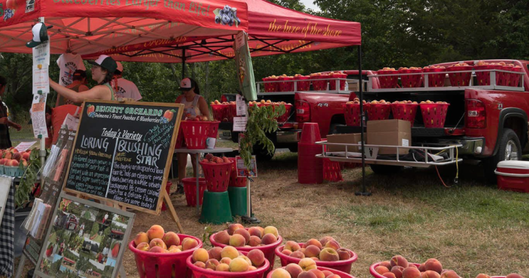 Historic Lewes Farmers Market faces funding loss for meals program | Information