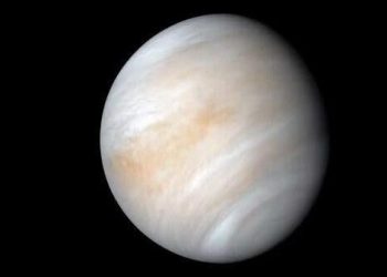 Starry Starry Evening: Time for the Magic Half Hour | Way of life