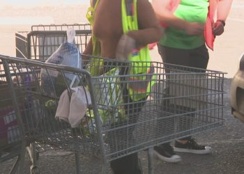 Easter meals bins given out by St. Mary’s Meals Financial institution