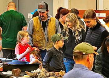 Geology present at OMSI was rock hound’s delight – thebeenews.com