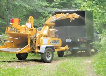 Forest well being – Columbia Gorge Information