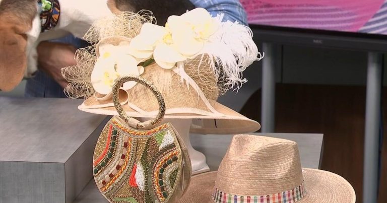 Animal Care Society getting ready for vogue present in Louisville | Wdrb-video