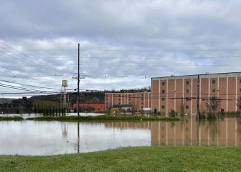 Kentucky flood forces Buffalo Hint Distillery to briefly shut | Life-style