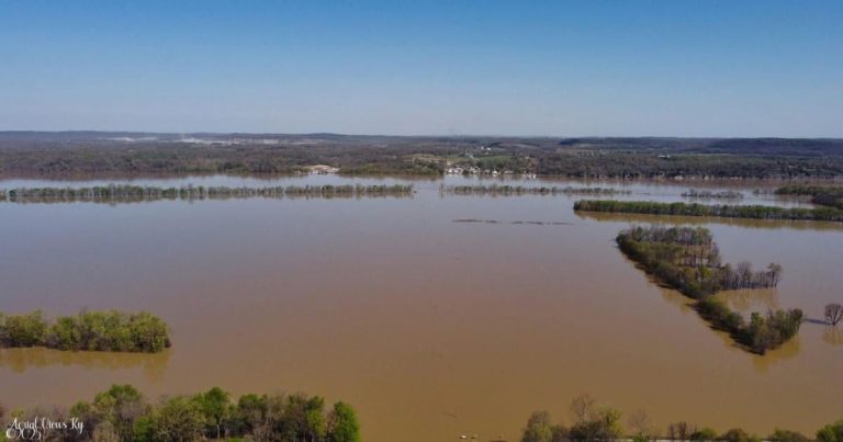 Flood-contaminated meals may cause well being dangers | Information