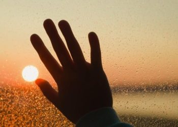 Psychological Well being Therapist sheds gentle on Reverse Seasonal Affective Dysfunction | Information