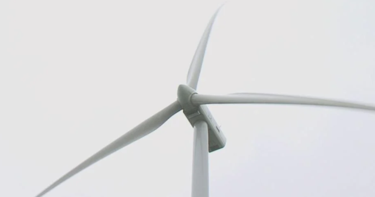 Authorities Accountability Workplace: Offshore wind brings local weather and well being positive aspects | Information