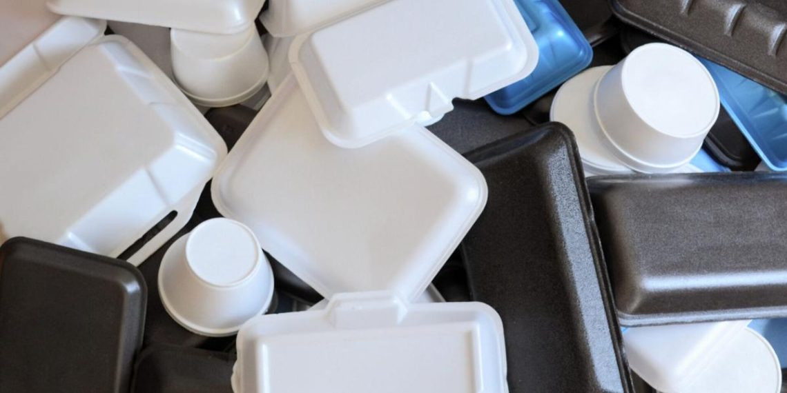 Montana strikes to ban styrofoam containers in meals business | Information
