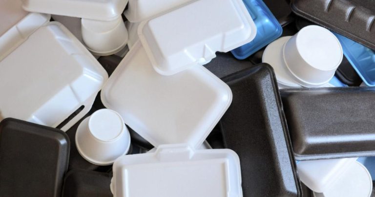 Montana strikes to ban styrofoam containers in meals business | Information