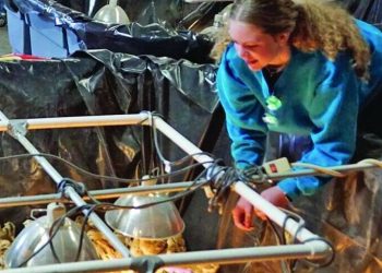 NMDOH: Child chicks current well being hazard | Native Information