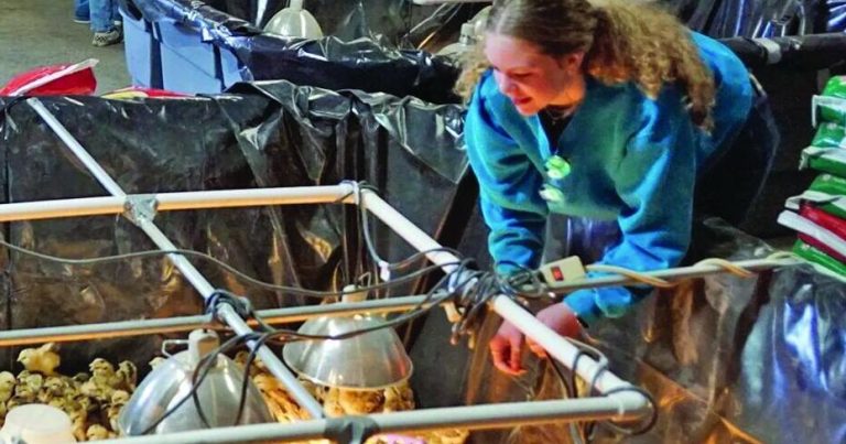NMDOH: Child chicks current well being hazard | Native Information