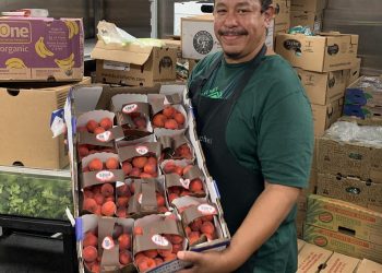 Blanchet Home 'rescues' surplus meals from grocers, sees clientele enhance amid federal meals financial institution cuts – Portland Tribune