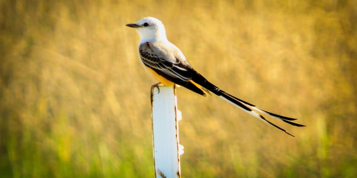 Our readers’ Finest Photographs from April 18-24, 2025 | Way of life