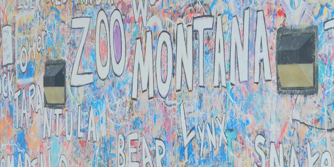 Assist ZooMontana’s development with new well being middle honoring Jeff Ewelt | Montana Information