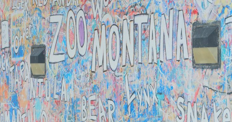 Assist ZooMontana’s development with new well being middle honoring Jeff Ewelt | Montana Information