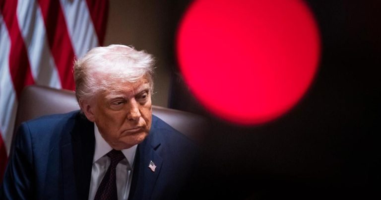 Trump picked up after canceling the information of worldwide college students | coverage