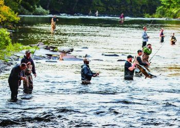 Oswego County celebrates Nationwide Journey and Tourism Week – Oswego County Information Now