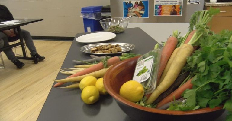 YMCA of the Northwoods celebrates “Wholesome Youngsters Day” | Information