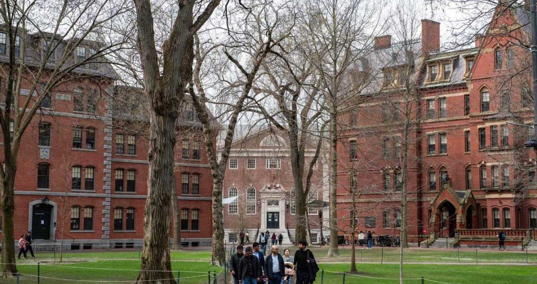 US politics sparks within the Canadian college curiosity – world