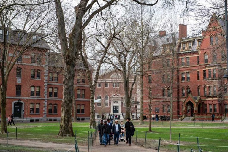 US politics sparks within the Canadian college curiosity – world