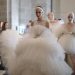 Barcelona Bridal Style Week elevates bridal vogue to the worldwide stage