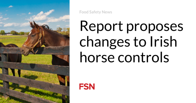 Report proposes adjustments to Irish horse controls