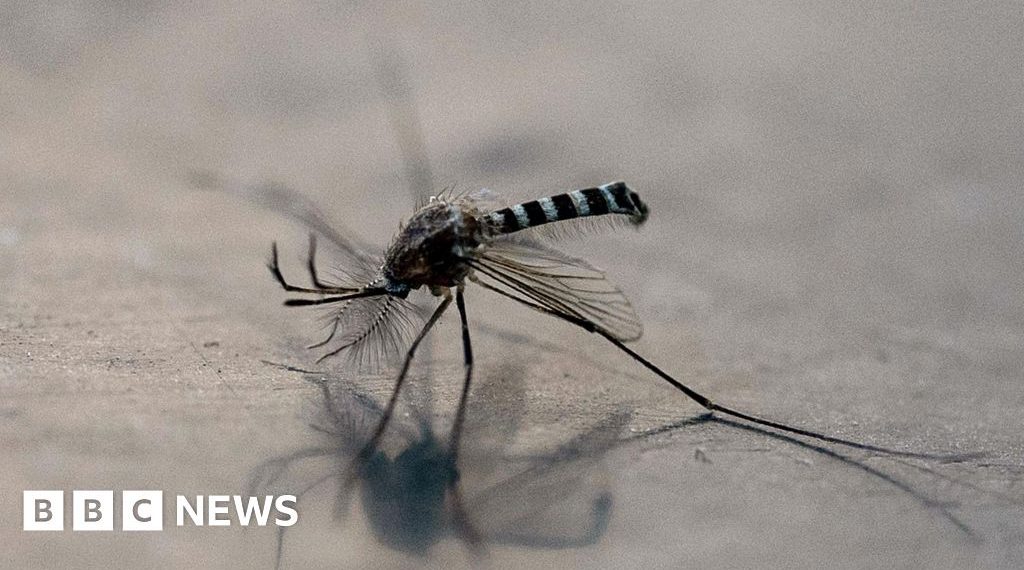 Colombia declares well being emergency after dozens die